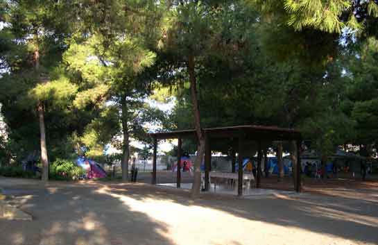 la_pineta2.jpg