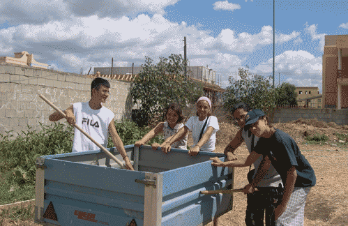 pulizia_pineta6.gif